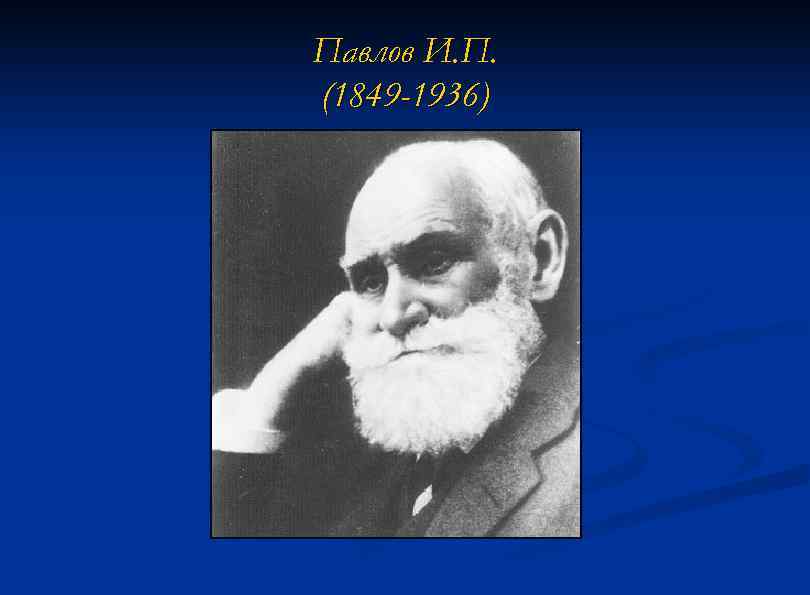 Павлов И. П. (1849 -1936) 