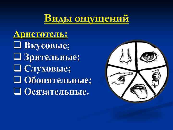 Виды ощущений Аристотель: q Вкусовые; q Зрительные; q Слуховые; q Обонятельные; q Осязательные. 