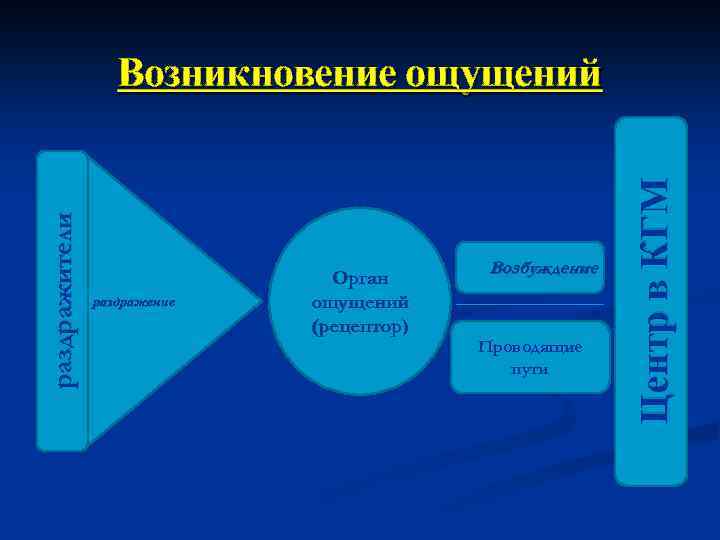 раздражение Орган ощущений (рецептор) Возбуждение Проводящие пути Центр в КГМ раздражители Возникновение ощущений 