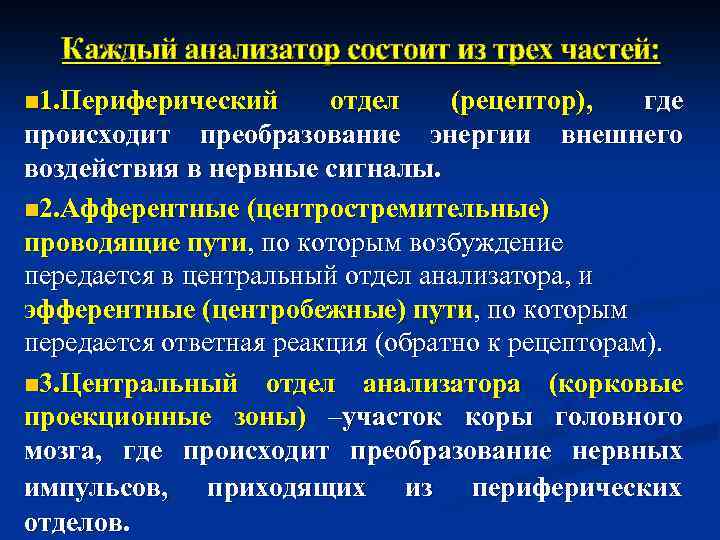 Каждый анализатор состоит из трех частей: n 1. Периферический отдел (рецептор), где происходит преобразование