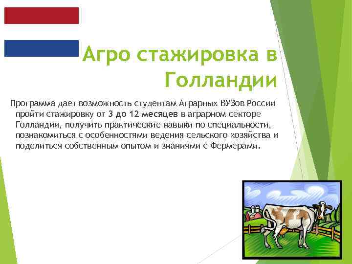 Агро стажировка в Голландии Программа дает возможность студентам Аграрных ВУЗов России пройти стажировку от