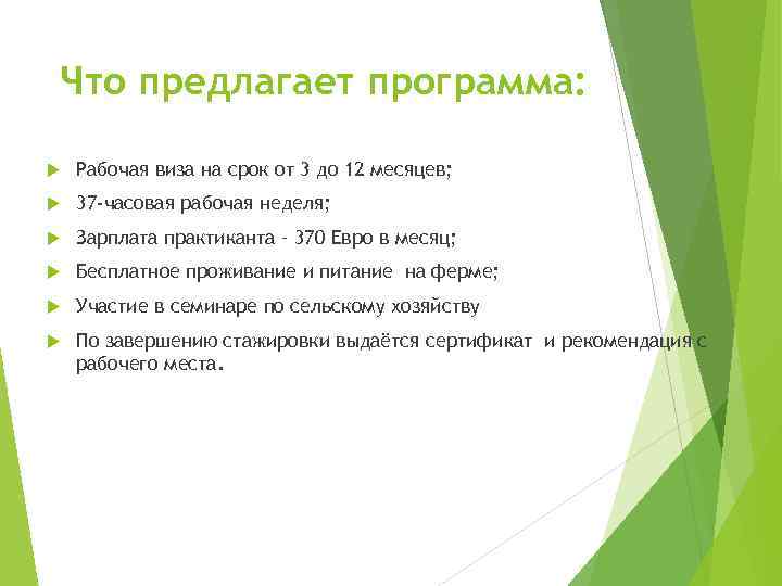 Что предлагает программа: Рабочая виза на срок от 3 до 12 месяцев; 37 -часовая