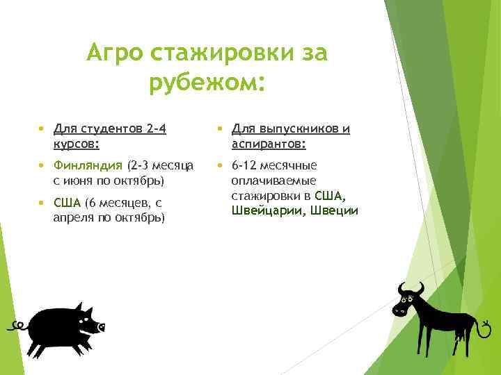 Агро стажировки за рубежом: Для студентов 2 -4 курсов: Для выпускников и аспирантов: Финляндия