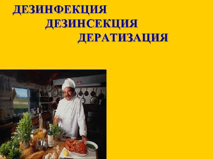 ДЕЗИНФЕКЦИЯ ДЕЗИНСЕКЦИЯ ДЕРАТИЗАЦИЯ 