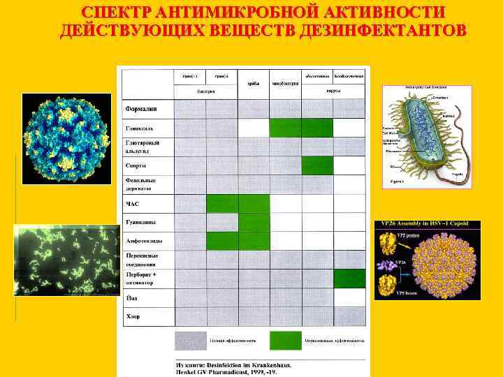 СПЕКТР АНТИМИКРОБНОЙ АКТИВНОСТИ ДЕЙСТВУЮЩИХ ВЕЩЕСТВ ДЕЗИНФЕКТАНТОВ 