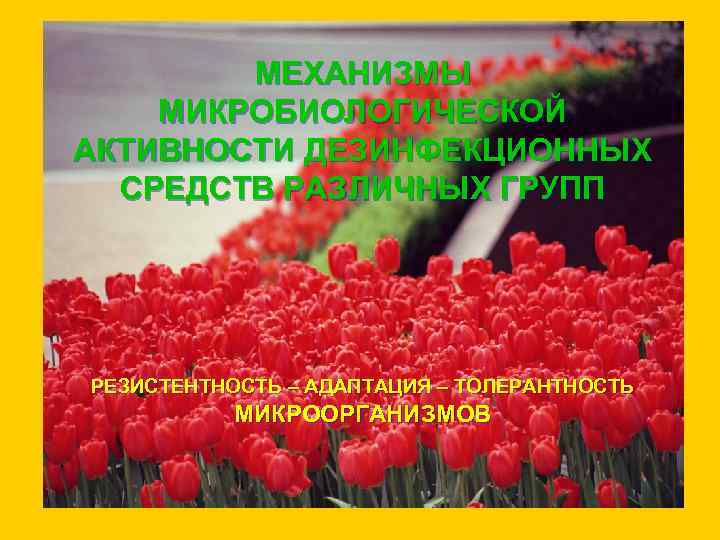 МЕХАНИЗМЫ МИКРОБИОЛОГИЧЕСКОЙ АКТИВНОСТИ ДЕЗИНФЕКЦИОННЫХ СРЕДСТВ РАЗЛИЧНЫХ ГРУПП РЕЗИСТЕНТНОСТЬ – АДАПТАЦИЯ – ТОЛЕРАНТНОСТЬ МИКРООРГАНИЗМОВ 