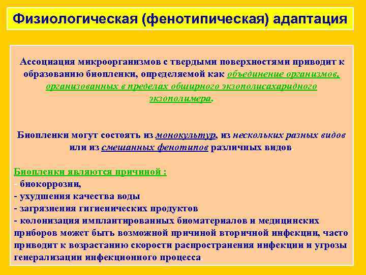 Физиологическая (фенотипическая) адаптация Ассоциация микроорганизмов с твердыми поверхностями приводит к образованию биопленки, определяемой как