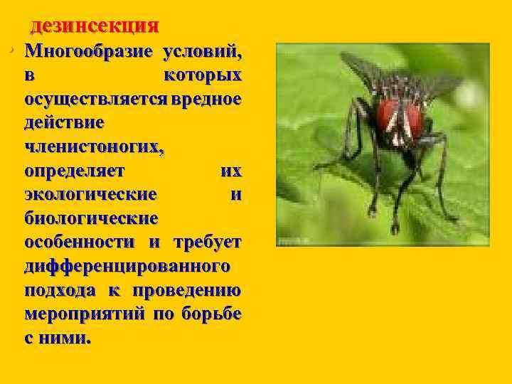 дезинсекция • Многообразие условий, в которых осуществляется вредное действие членистоногих, определяет их экологические и