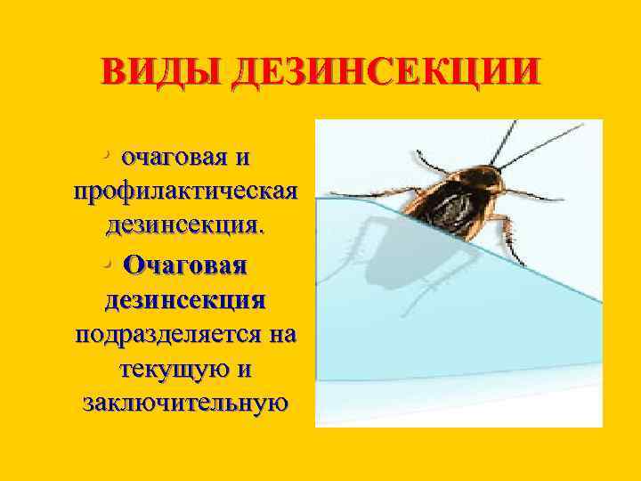 ВИДЫ ДЕЗИНСЕКЦИИ • очаговая и профилактическая дезинсекция. • Очаговая дезинсекция подразделяется на текущую и