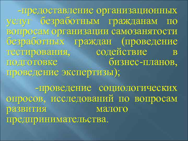 -предоставление организационных услуг безработным гражданам по вопросам организации самозанятости безработных граждан (проведение тестирования, содействие