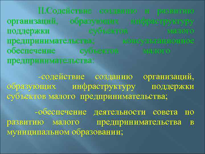  II. Содействие созданию и развитию организаций, образующих инфраструктуру поддержки субъектов малого предпринимательства; консультационное
