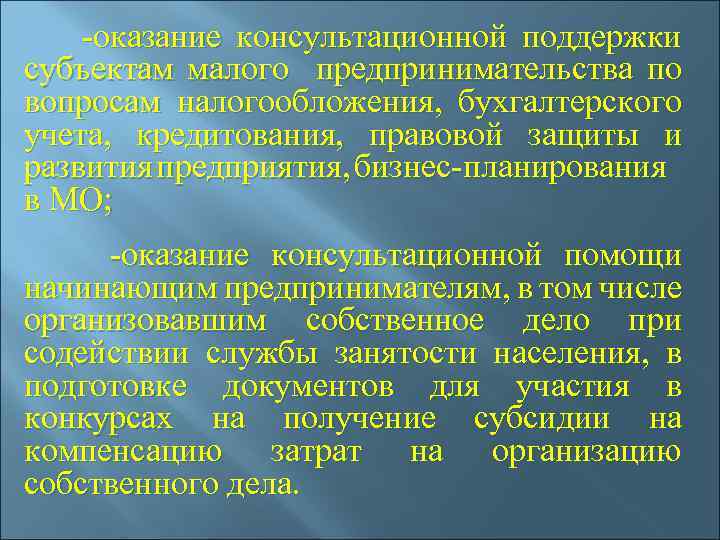  -оказание консультационной поддержки субъектам малого предпринимательства по вопросам налогообложения, бухгалтерского учета, кредитования, правовой