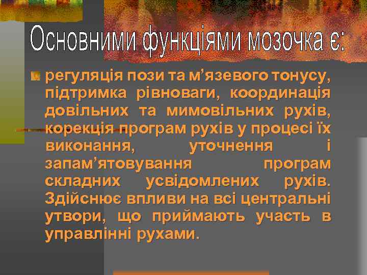 регуляція пози та м’язевого тонусу, підтримка рівноваги, координація довільних та мимовільних рухів, корекція програм