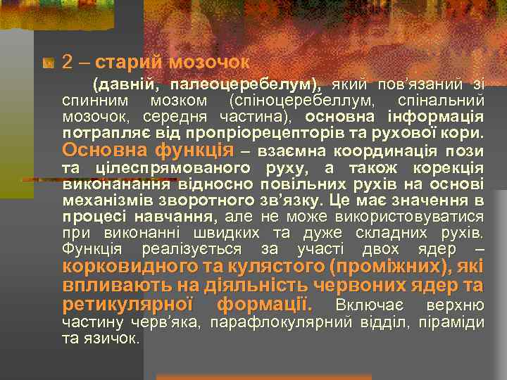 2 – старий мозочок (давній, палеоцеребелум), який пов’язаний зі спинним мозком (спіноцеребеллум, спінальний мозочок,