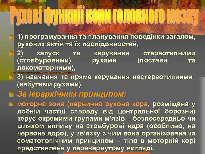 1) програмування та планування поведінки загалом, рухових актів та їх послідовностей, 2) запуск та