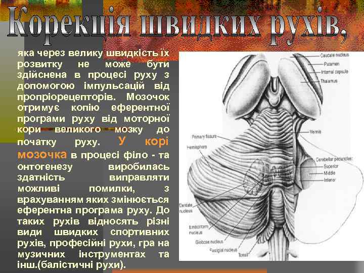 яка через велику швидкість їх розвитку не може бути здійснена в процесі руху з