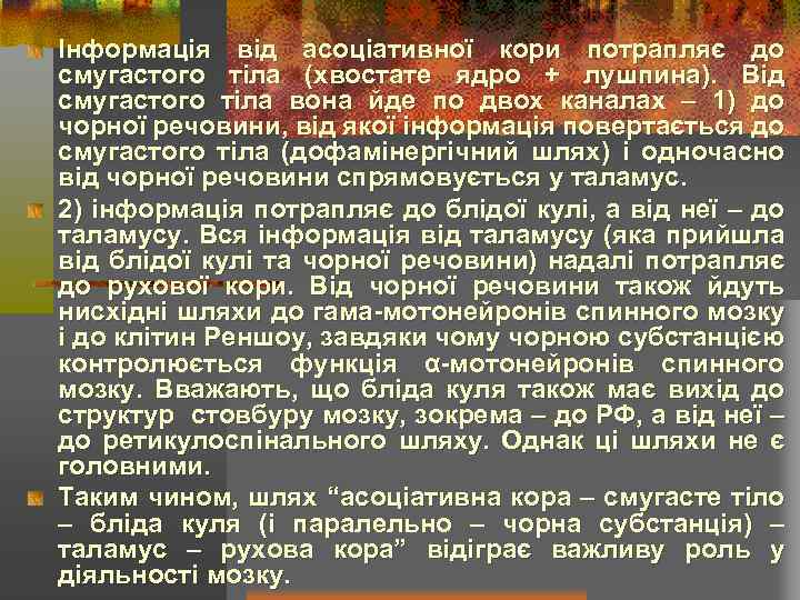 Iнформація від асоціативної кори потрапляє до смугастого тіла (хвостате ядро + лушпина). Від смугастого