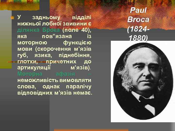 У задньому відділі нижньої лобної звивини є ділянка Брока (поле 40), яка пов”язана із