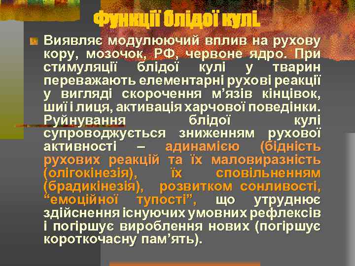 Функції блідої кулі. Виявляє модулюючий вплив на рухову кору, мозочок, РФ, червоне ядро. При