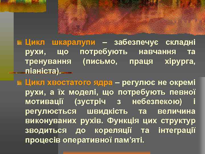 Цикл шкаралупи – забезпечує складні рухи, що потребують навчання та тренування (письмо, праця хірурга,