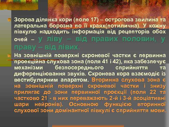 Зорова ділянка кори (поле 17) – острогова звилина та латеральна борозна по її краях(потилична).