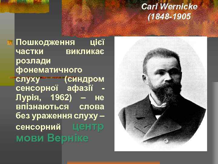 Carl Wernicke (1848 -1905 Пошкодження цієї частки викликає розлади фонематичного слуху (синдром сенсорної афазії