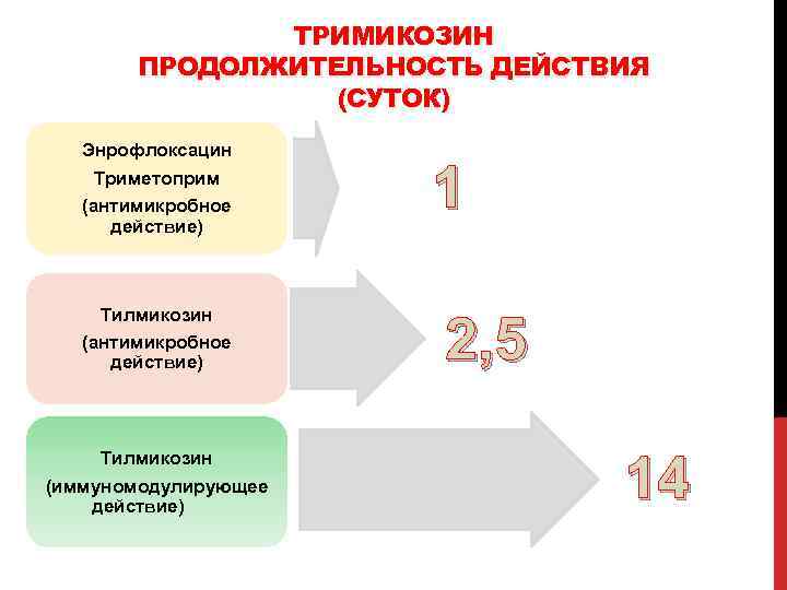 ТРИМИКОЗИН ПРОДОЛЖИТЕЛЬНОСТЬ ДЕЙСТВИЯ (СУТОК) Энрофлоксацин Триметоприм (антимикробное действие) Тилмикозин (иммуномодулирующее действие) 1 2, 5