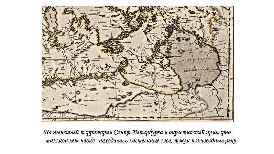 На нынешней территории Санкт-Петербурга и окрестностей примерно миллион лет назад находились лиственные леса, текли