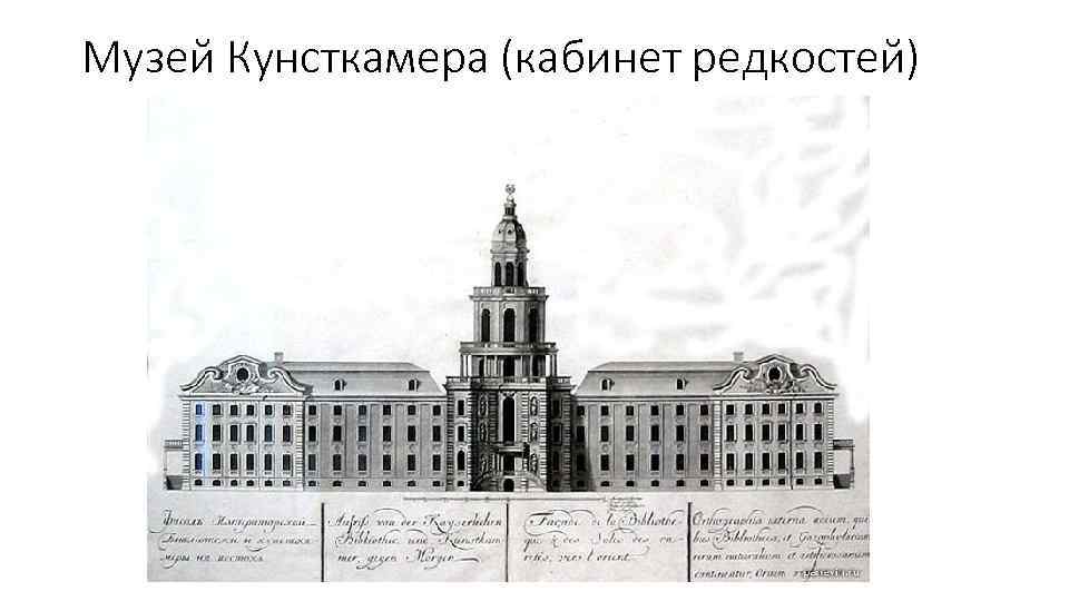 Музей Кунсткамера (кабинет редкостей) 