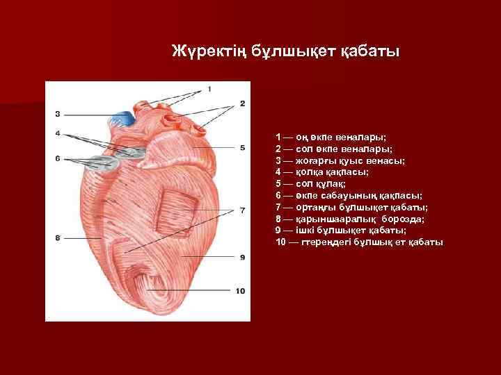 Жаралы жүрек картинка