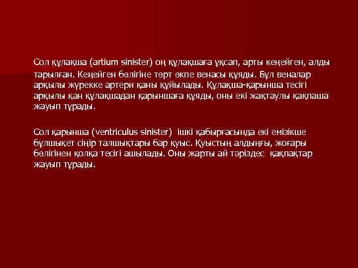 Cол құлақша (artium sinister) оң құлақшаға ұқсап, арты кеңейген, алды тарылған. Кеңейген бөлігіне төрт