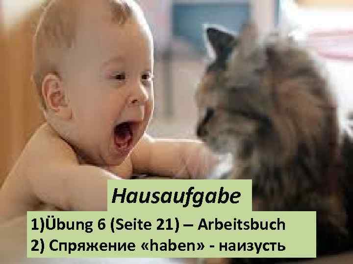 Hausaufgabe 1)Übung 6 (Seite 21) – Arbeitsbuch 2) Спряжение «haben» - наизусть 