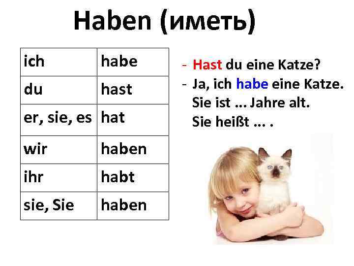 Haben (иметь) ich habe du hast er, sie, es hat wir haben ihr habt