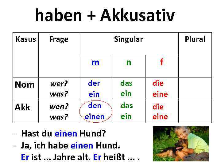 haben + Akkusativ Kasus Frage Singular Plural m Nom Akk wer? was? wen? was?