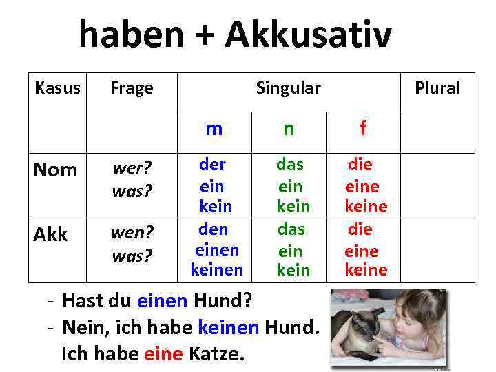 haben + Akkusativ Kasus Frage Singular Plural m Nom wer? was? Akk wen? was?