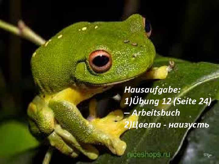 Hausaufgabe: 1)Übung 12 (Seite 24) – Arbeitsbuch 2)Цвета - наизусть 