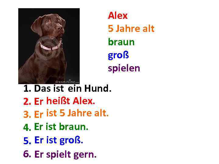 Alex 5 Jahre alt braun groß spielen 1. Das ist. . . Hund. ein