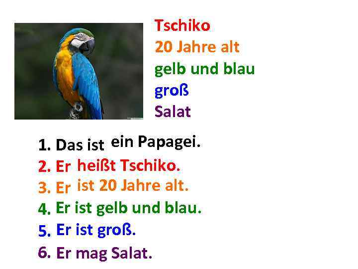 Tschiko 20 Jahre alt gelb und blau groß Salat ein 1. Das ist. .