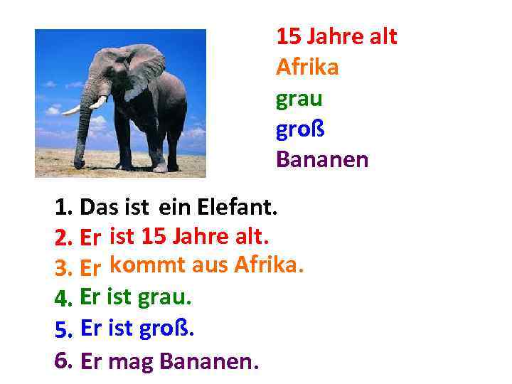 15 Jahre alt Afrika grau groß Bananen 1. Das ist. . . Elefant. ein