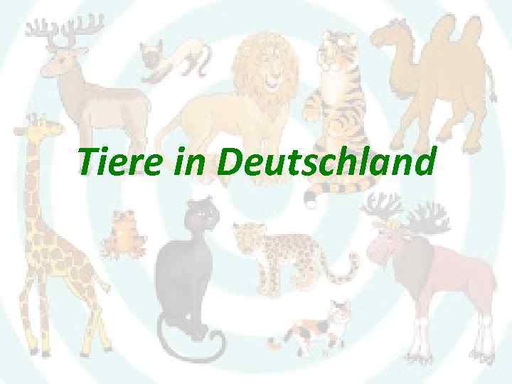 Tiere in Deutschland 