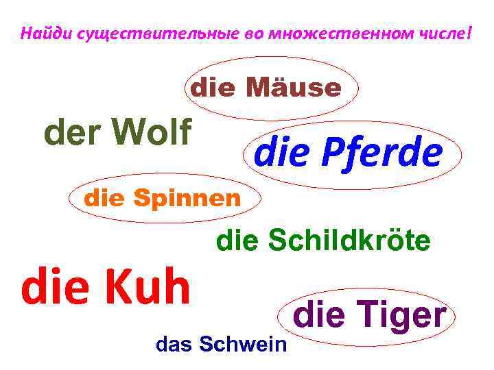 Найди существительные во множественном числе! die Mäuse der Wolf die Pferde die Spinnen die