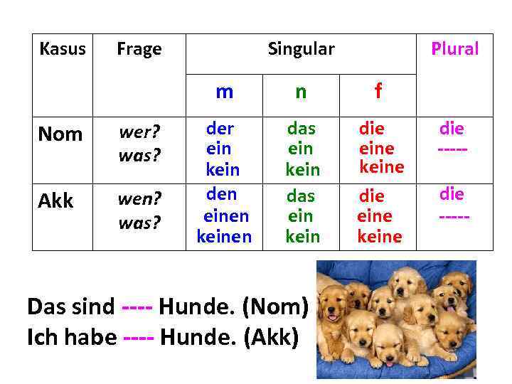Kasus Frage Singular Plural m Nom wer? was? Akk wen? was? n f der
