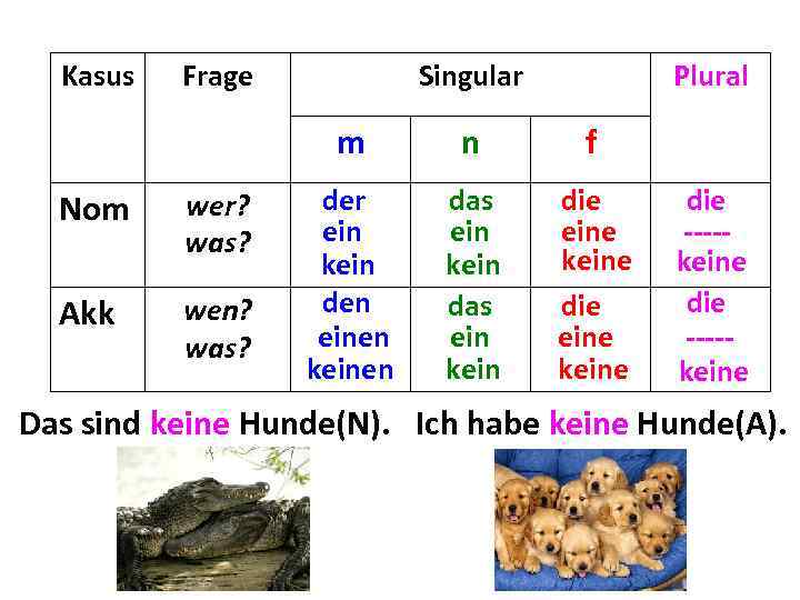 Kasus Frage Singular Plural m Nom wer? was? Akk wen? was? n f der