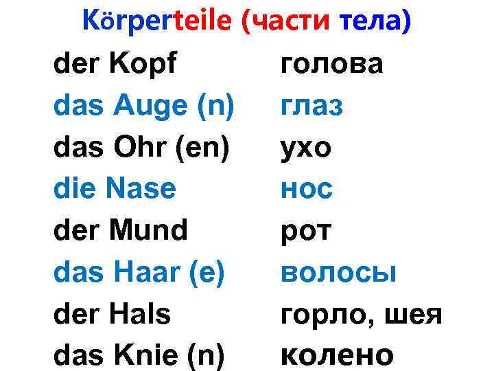 Körperteile (части тела) der Kopf das Auge (n) das Ohr (en) die Nase der