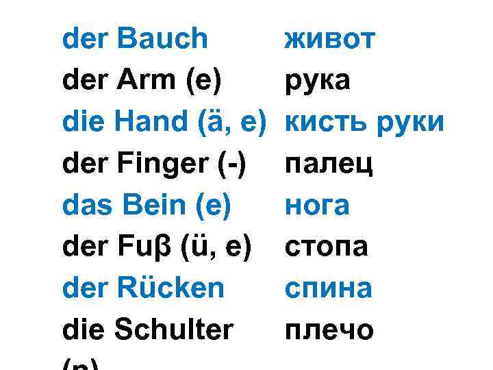 der Bauch der Arm (e) die Hand (ä, e) der Finger (-) das Bein