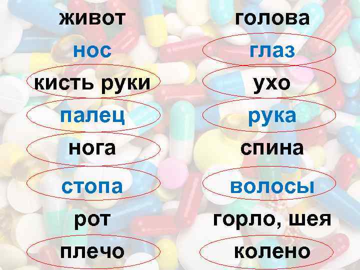живот нос кисть руки палец нога голова глаз ухо рука спина стопа рот плечо