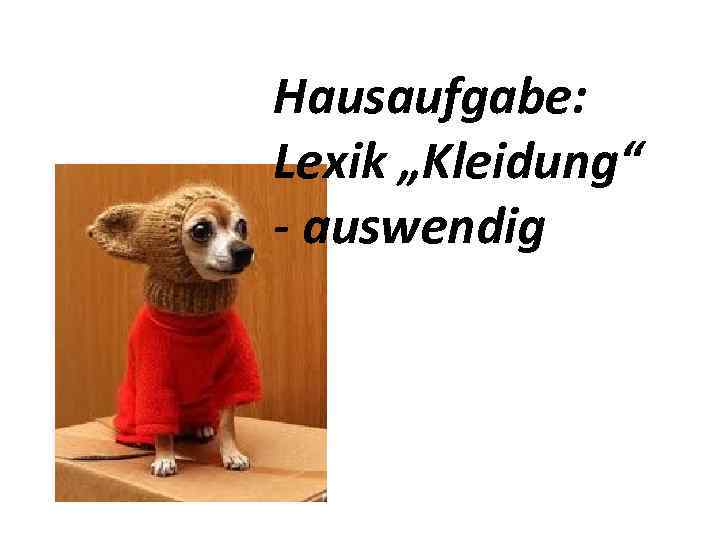 Hausaufgabe: Lexik „Kleidung“ - auswendig 