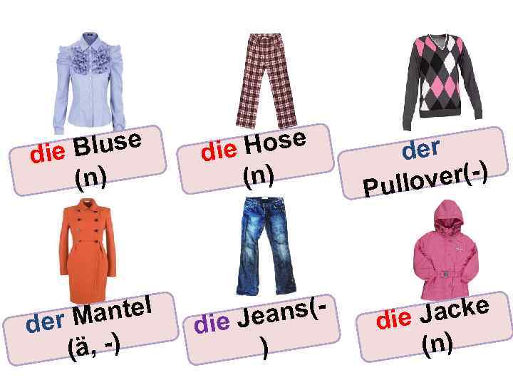 luse die B (n) Hose die (n) der ver(-) Pullo antel d er M