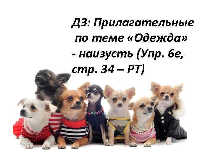 ДЗ: Прилагательные по теме «Одежда» - наизусть (Упр. 6 е, стр. 34 – РТ)