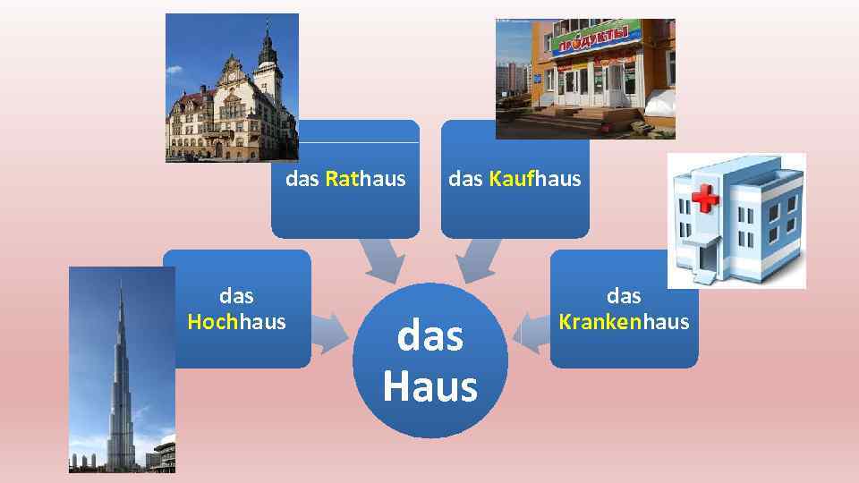 das Rathaus das Hochhaus das Kaufhaus das Haus das Krankenhaus 